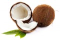 Water Soluble Massage Oil - Coconut Oil Blend