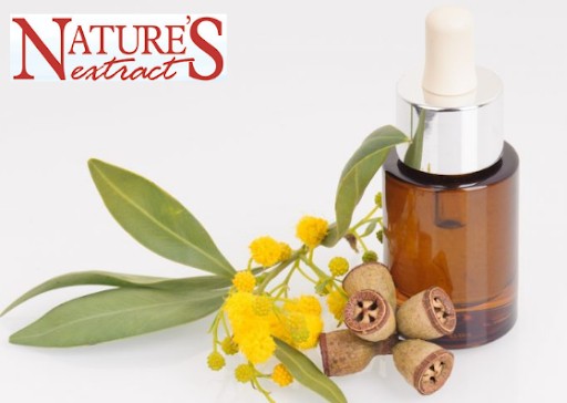 Eucalytus oil from Nature's Extract